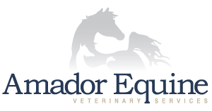 Amador Equine Veterinary Services